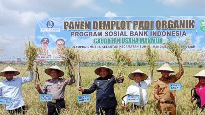 Turut Tekan Inflasi, Bank Indonesia Serahkan Sejumlah Bantuan Dana CSR ke Siak
