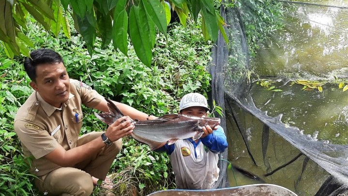 Budidaya Ikan Angkat Ekonomi Masyarakat Desa Palung Raya