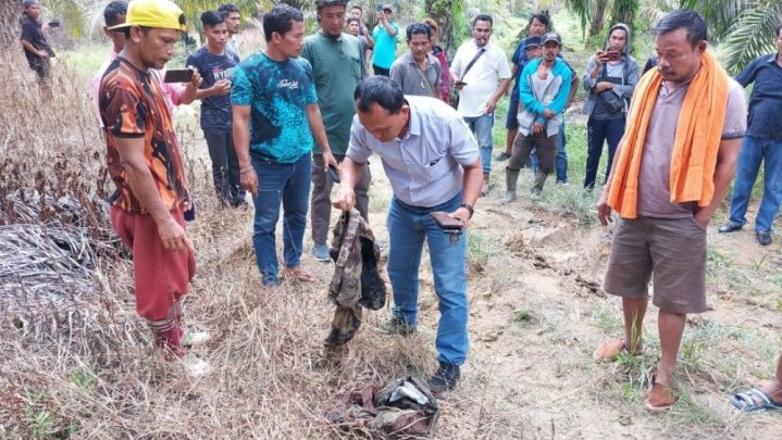 Diserang Gajah Liar, Warga Minas Meninggal Dunia