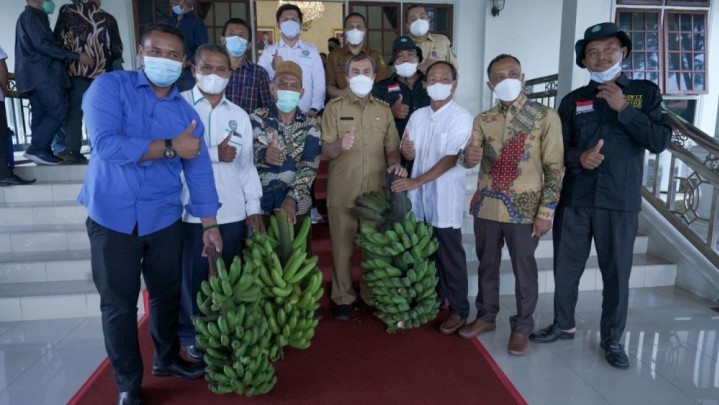 Tanaman Tumpang Sari Berhasil, Gubri Dapat Pisang Satu Mobil dari Kelompok Tani