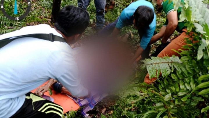 Diduga Diserang Harimau, Pekerja Penebang Kayu di Inhil Ditemukan Meninggal Dunia Diduga Diserang Harimau, Pekerja Penebang Kayu di Inhil Ditemukan Meninggal Dunia