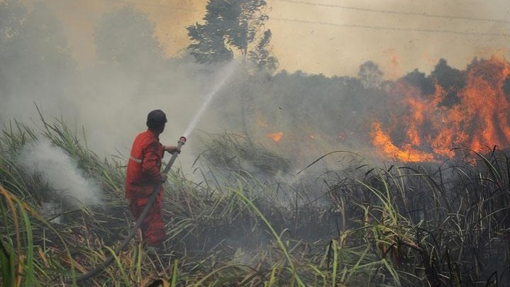 BPBD Bengkalis Ajukan Status Siaga Karhutla BPBD Bengkalis Ajukan Status Siaga Karhutla