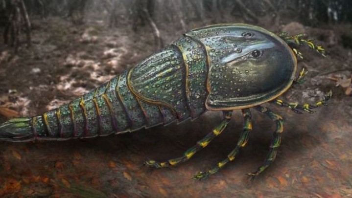 Ilmuan Klaim Temukan Kalajengking Monster Berusia 252 Juta Tahun Ilmuan Klaim Temukan Kalajengking Monster Berusia 252 Juta Tahun