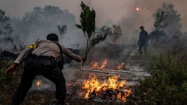 Pemprov Riau Belum Tetapkan Siaga Karhutla
