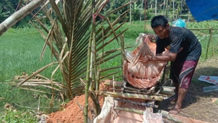 Pengembangan Sagu untuk Ketahanan Pangan