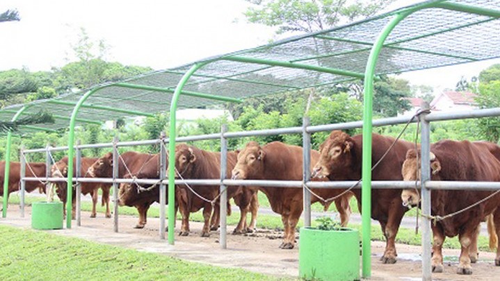 Semen Beku Dinas PKH Riau Hasilkan PAD Capai Rp254 Juta