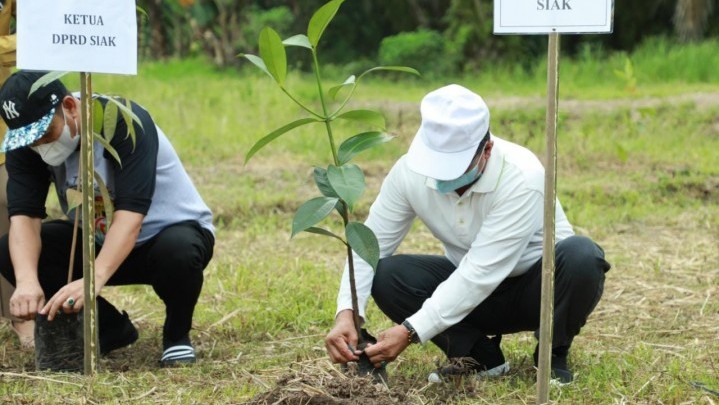 Program Riau Hijau dan Siak Hijau, Upaya Wariskan Lingkungan pada Penerus Negeri