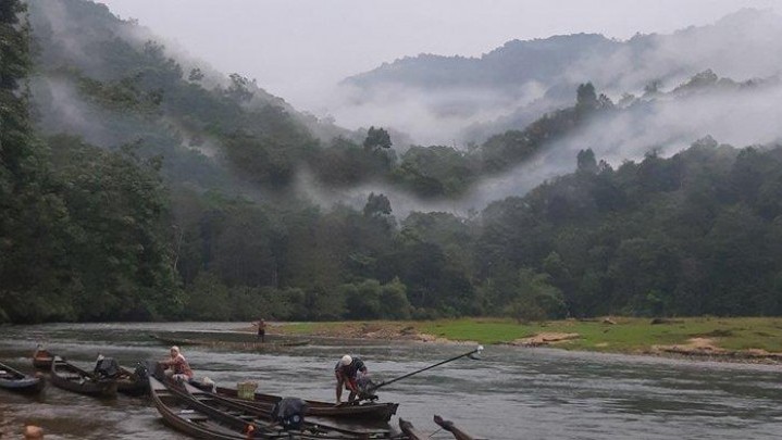 Ada Ruang Pengelolaan Hutan Bagi Masyarakat Adat di Riau