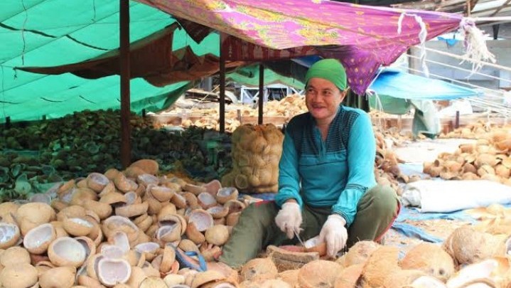 Harga Kopra di Inhil Sepekan ke Depan Naik Harga Kopra di Inhil Sepekan ke Depan Naik