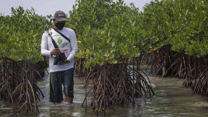 Prinsip Kelestarian Alam Dasar Program Siak Hijau Prinsip Kelestarian Alam Dasar Program Siak Hijau