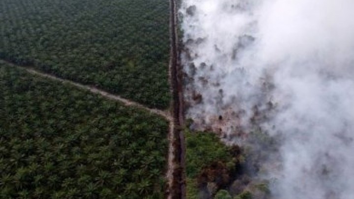 Sekda Bengkalis: Harus Ada Solusi Agar Masyarakat Tidak Buka Lahan Dengan Membakar