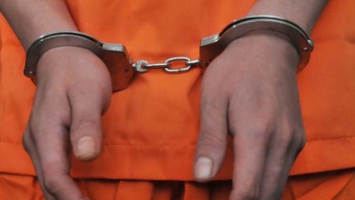 Pencurian Sapi, Diduga Melibatkan Honorer DLH Kota Padang Pencurian Sapi, Diduga Melibatkan Honorer DLH Kota Padang