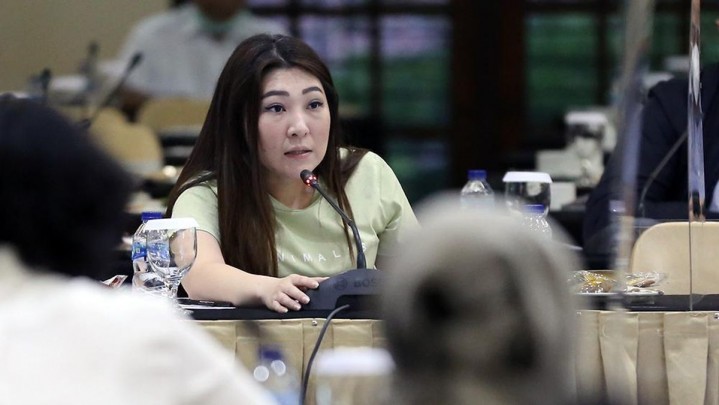 Dipecat PSI dan Kalah di PN Jakarta Pusat, Viani Ajukan Banding