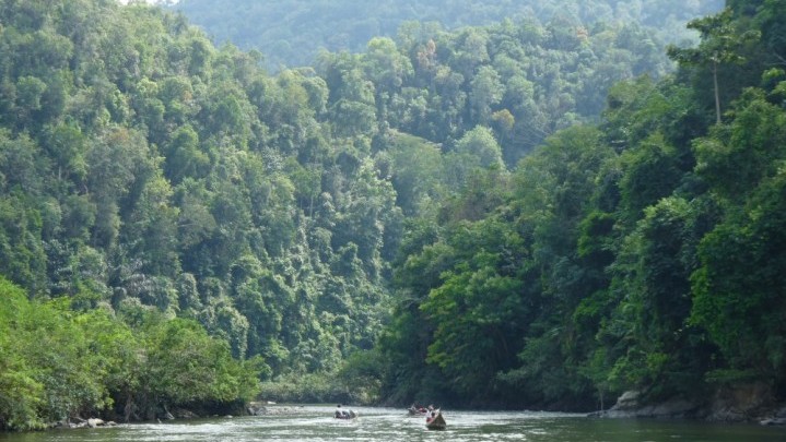 Indeks Kualitas Lingkungan Hidup Riau Disebut Mamun Murod Meningkat