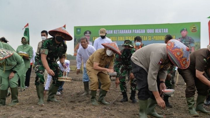 Di Kampar, Program Ketahanan Pangan 1000 Hektar Korem 031/WB Dibuka