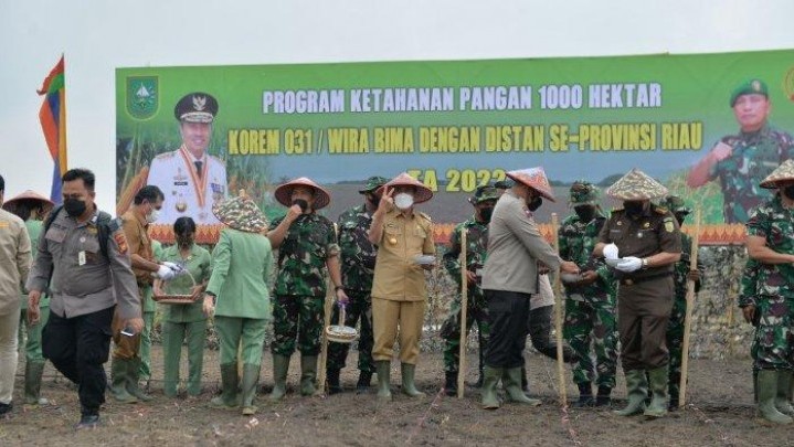 Syamsuar: Indeks Ketahanan Pangan Riau Meningkat Syamsuar: Indeks Ketahanan Pangan Riau Meningkat