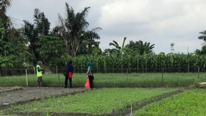 April 2022 Nilai Tukar Petani Riau Naik 0,07 Persen April 2022 Nilai Tukar Petani Riau Naik 0,07 Persen