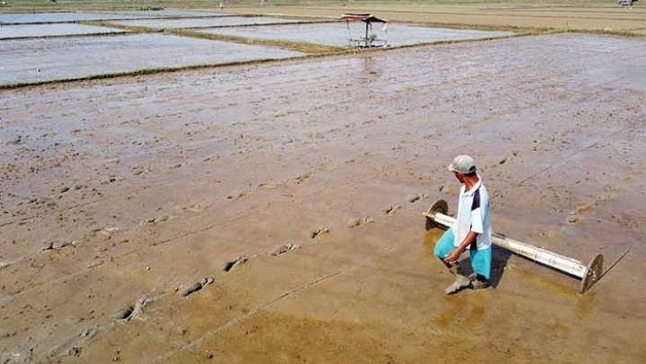 Berikut Banyak Kelompok Tani di Bengkalis Penerima Bantuan Produksi dan Pasca Panen