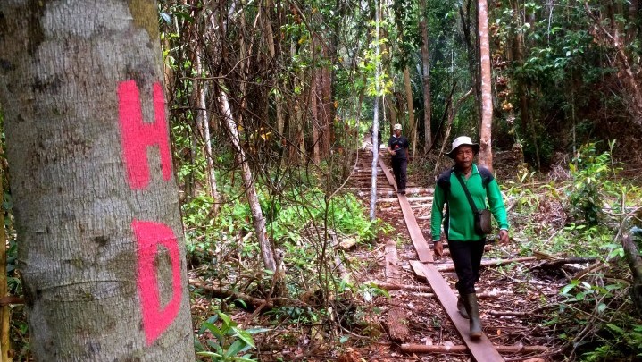 Menteri LHK Bentuk Tim Khusus Atasi Lambatnya Realisasi Hutan Sosial di Riau
