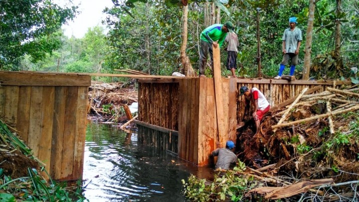 Restorasi Gambut di Riau: 925 Sumur Bor, 1.396 Sekat Kanal Restorasi Gambut di Riau: 925 Sumur Bor, 1.396 Sekat Kanal