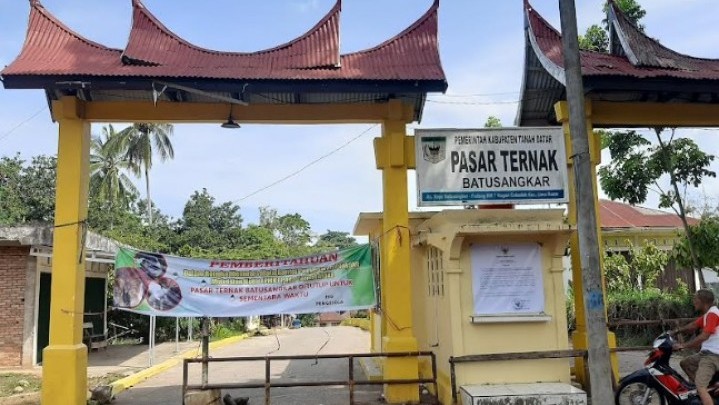 PMK Serang Sumbar, Pasar Ternak Batusangkar Terpaksa Ditutup