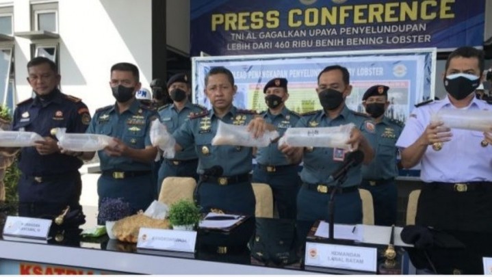 Penyelundupan Benih Lobster Bernilai Rp 46 Miliar Berhasil Digagalkan