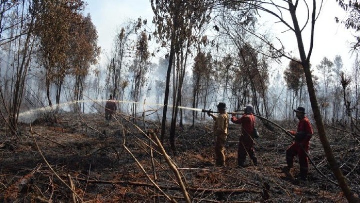 BPBD Riau Sebut Sudah Berhasil Padamkan Karthutla di Sebagian Daerah