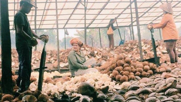 Harga Jual Kelapa di Riau Sepekan ke Depan Turun Harga Jual Kelapa di Riau Sepekan ke Depan Turun