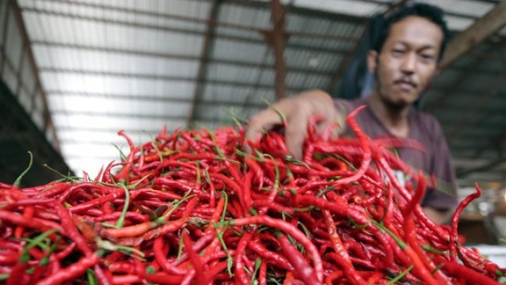 Harga Cabai Merah di Pekanbaru Sekilo Capai Rp130 Ribu