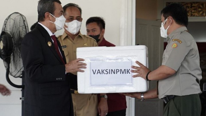 Ribuan Vaksin PMK pada Ternak Mulai Didistribusikan ke Kabupaten Kota di Riau Ribuan Vaksin PMK pada Ternak Mulai Didistribusikan ke Kabupaten Kota di Riau