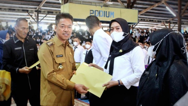 Bupati Rohil Ingatkan PPPK Maksimalkan Pelayanan Publik Bupati Rohil Ingatkan PPPK Maksimalkan Pelayanan Publik