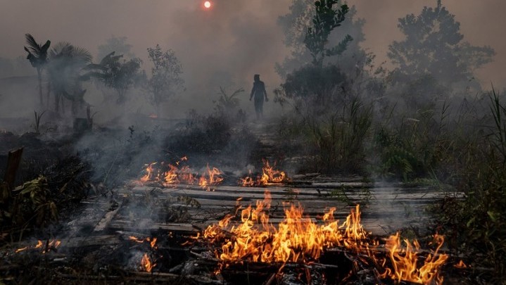 Tahun Ini Sudah 651 Hektar Lahan di Riau Terbakar Tahun Ini Sudah 651 Hektar Lahan di Riau Terbakar