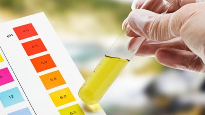 Gubernur dan Seluruh Pejabat Pemprov Sumbat Tes Urine Dadakan Gubernur dan Seluruh Pejabat Pemprov Sumbat Tes Urine Dadakan