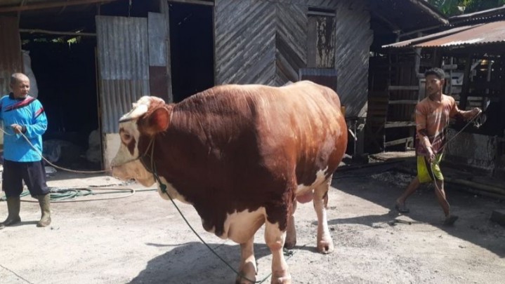 SE Salat Idul Adha dan Pelaksanaan Kurban Dijelaskan Kemenag Riau SE Salat Idul Adha dan Pelaksanaan Kurban Dijelaskan Kemenag Riau