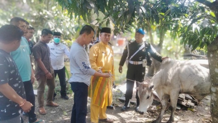 Masyarakat Pesisir Rokan Hilir Dapat Bantuan Sapi Kurban Masyarakat Pesisir Rokan Hilir Dapat Bantuan Sapi Kurban