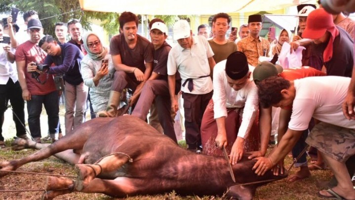 Hewan Kurban di Masjid Ar-Rahman Disembelih Langsung Pj Bupati Kampar