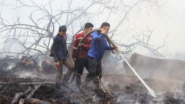 Lagi Karhutla di Riau, Hari Ini Ada di Tiga Daerah Lagi Karhutla di Riau, Hari Ini Ada di Tiga Daerah