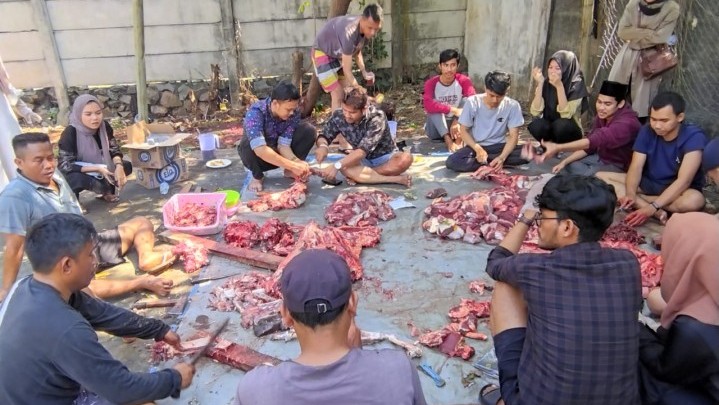 Hipemari dan IPMKJ Qurban 1 Sapi dan 1 Kambing Hipemari dan IPMKJ Qurban 1 Sapi dan 1 Kambing