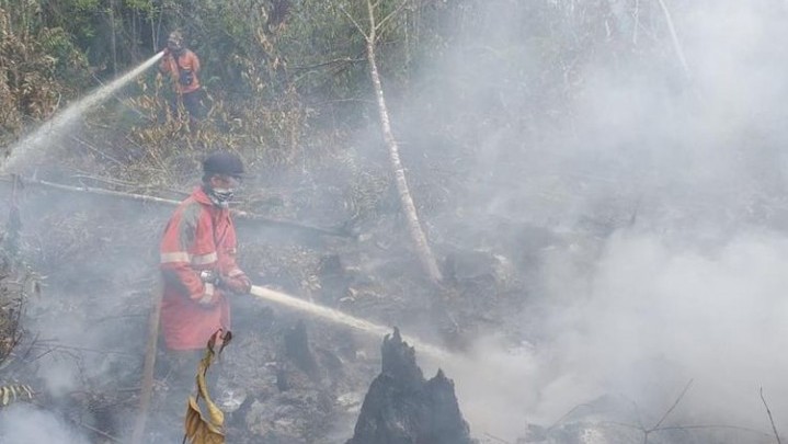 Lagi Karhutla di Riau, BPBD Yakin Bisa Segera Dipadamkan