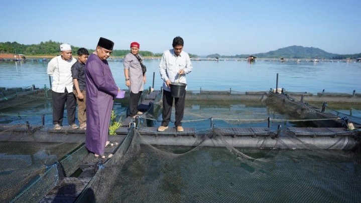 Kepemilikan Kerambah di Koto Panjang Masih Didominasi Pengusaha Besar, Seperti Ini Respon Wagubri