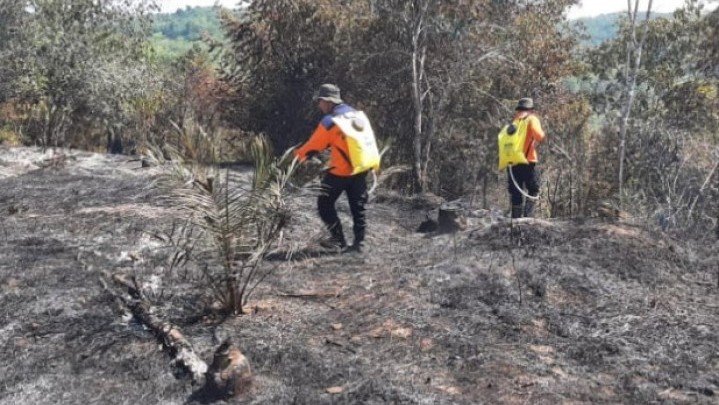 BPBD Selidiki Penyebab Kebakaran Belasan Hektare Lahan di Kampar