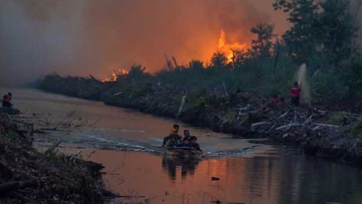 Waspada, Karhutla Sepekan Ini Meningkat