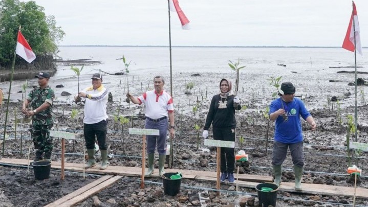 Program Riau Hijau, Gubri Tanam Mangrove di Bengkalis