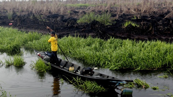 Lahan Gambut Riau Terluas di Indonesia, Anggaran Pembantuan yang Didapat Malah Lebih Kecil dari Kalteng dan Kalbar Lahan Gambut Riau Terluas di Indonesia, Anggaran Pembantuan yang Didapat Malah Lebih Kecil dari Kalteng dan Kalbar