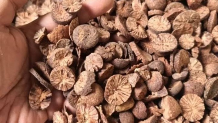 Ini Harga Jual Pinang di Riau Sepekan ke Depan Ini Harga Jual Pinang di Riau Sepekan ke Depan