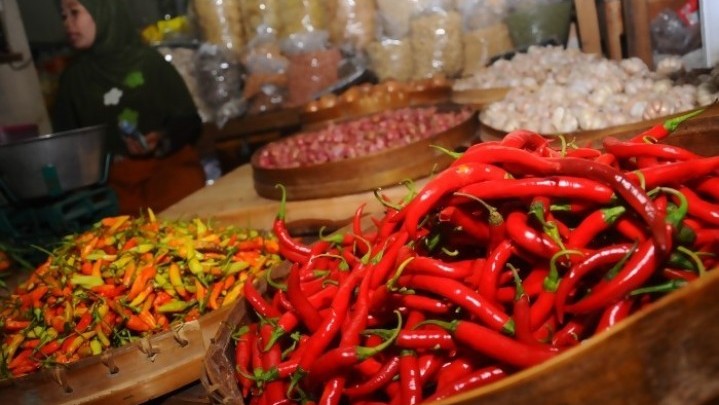 Riau Diakui Gubri Syamsuar Kekurangan Cabai Merah Riau Diakui Gubri Syamsuar Kekurangan Cabai Merah