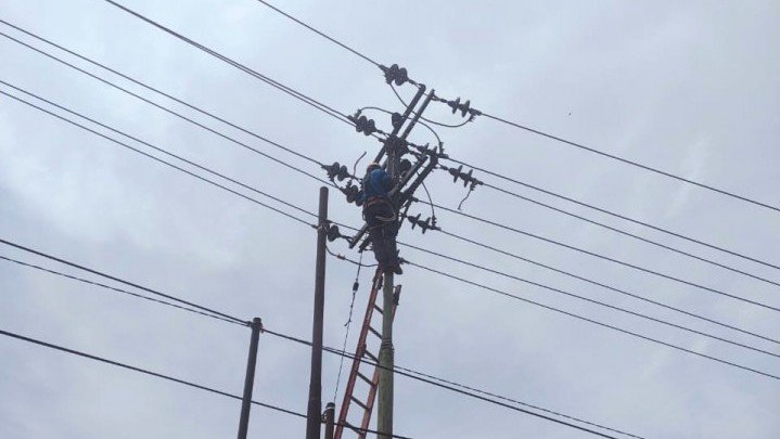 Tiang Listrik Tumbang, Pasokan Listrik Ribuan Pelanggan PLN di Kampar Terganggu