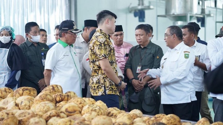 Petani Porang di Riau Kata Ketua HKTI Harus Sejahtera saat Bermitra dengan Perusahaan