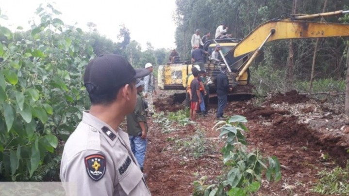 Harimau Sumatera Terkam Karyawan PT Peranap Timber Hingga Tewas, Berikut Penjelasan Polisi Harimau Sumatera Terkam Karyawan PT Peranap Timber Hingga Tewas, Berikut Penjelasan Polisi