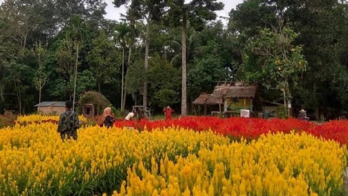 Potensi Wisata Alam Desa Okura akan Dikembangkan Lagi Potensi Wisata Alam Desa Okura akan Dikembangkan Lagi